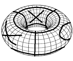 Torus shape